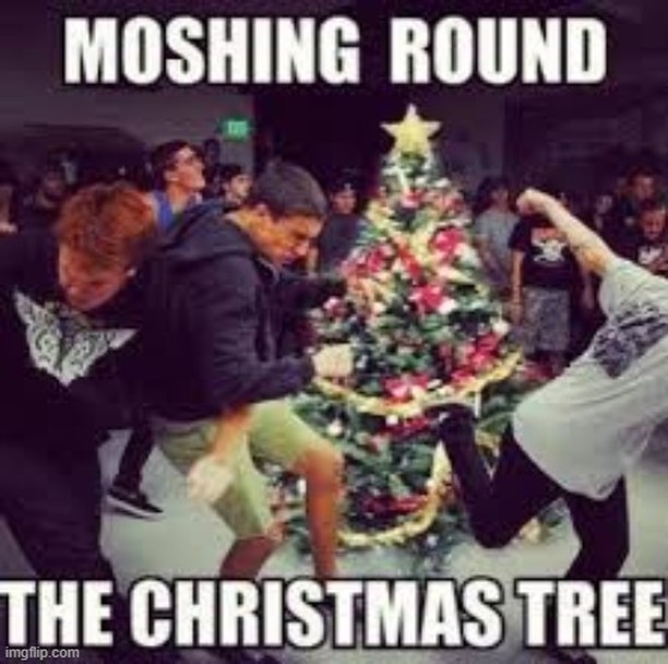 15 Funny Christmas Trees to Light Up Your Holidays 7 moshing round - Funny Christmas Trees