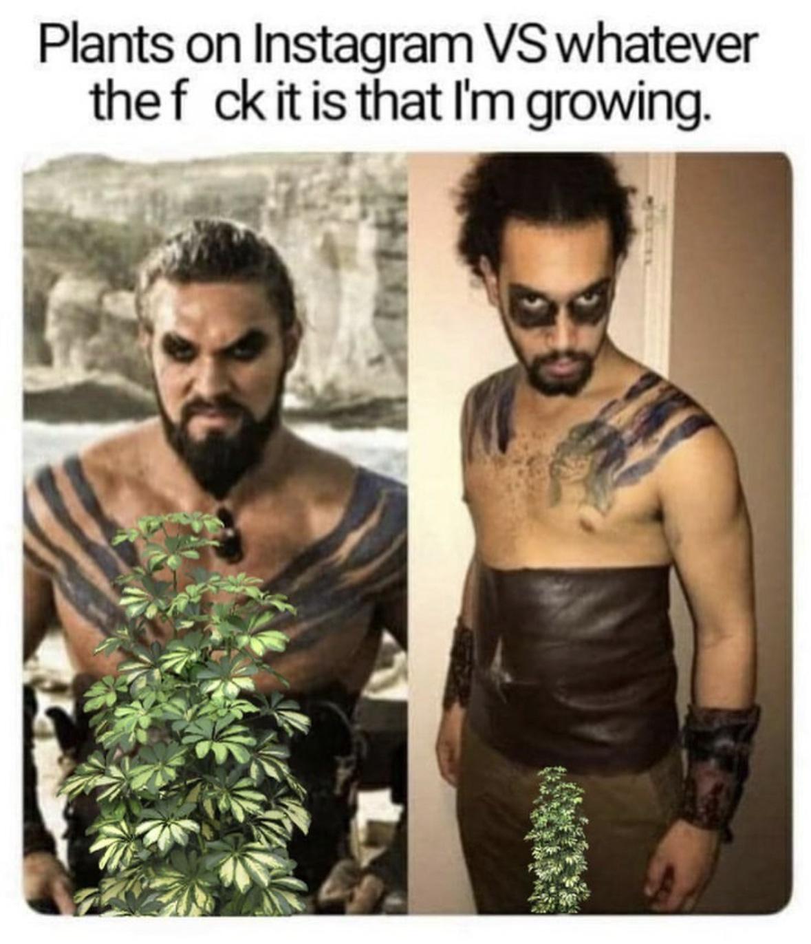 20 Hilarious Memes That Are Your Ultimate Coping Mechanism 10 plants on instagram