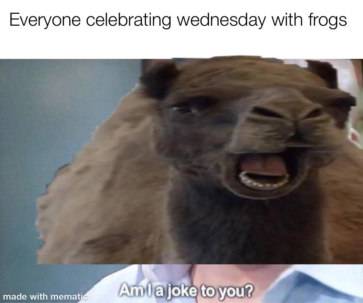 The Best Hump Day Memes To Start Your Wednesday 11 ryone celebrating