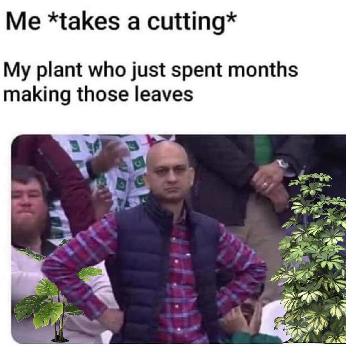 20 Hilarious Memes That Are Your Ultimate Coping Mechanism 11 takes a cutting