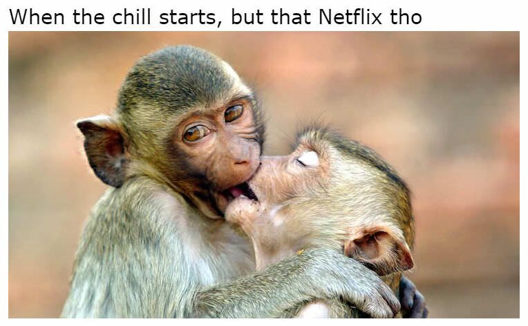 29 Horny Memes for a Naughty Giggle 23 When the chill starts