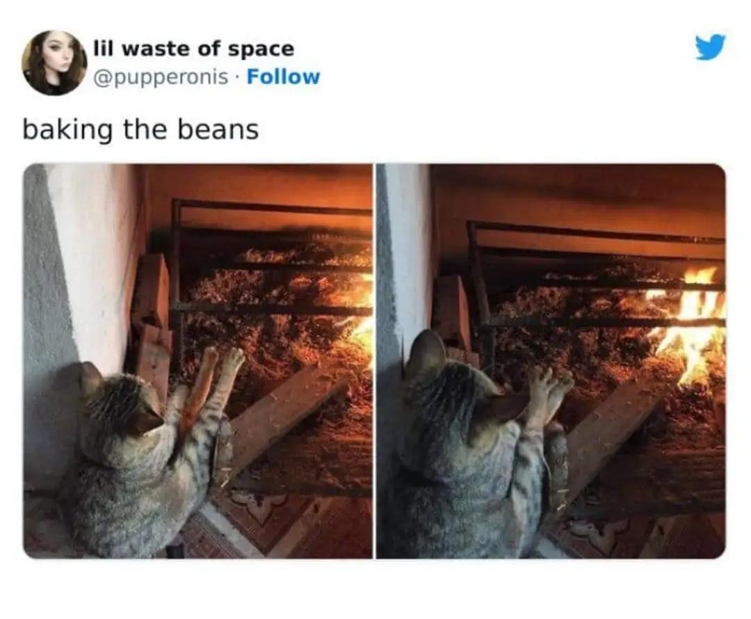 Baking the beans