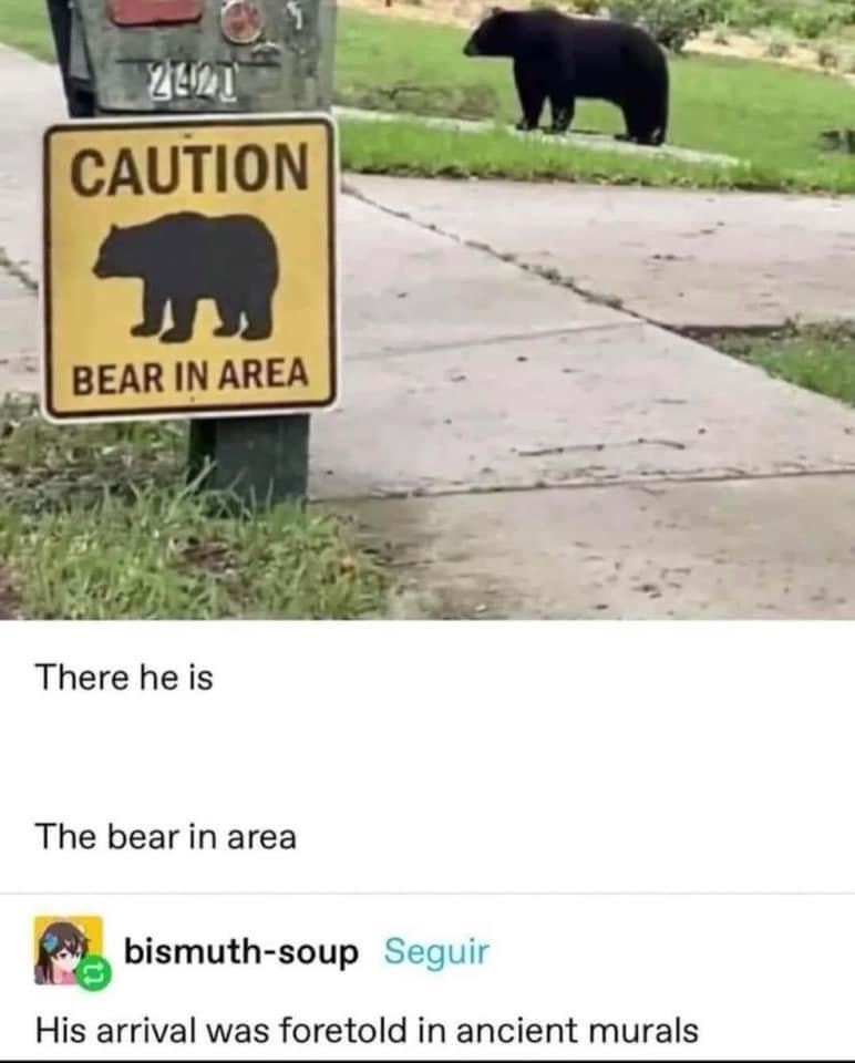 20 Funny Animal Memes That Are More Entertaining Than a Night at the Zoo 2 Bear in area - Funny Animal Memes