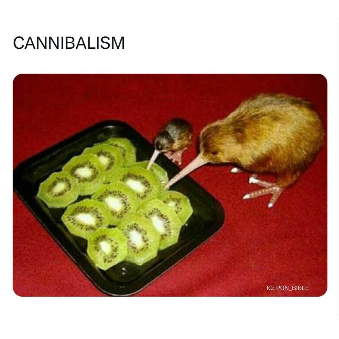 35 Punniest Memes: Your Daily Dose of Vitamin C (Comedy) 5 Cannibalism - punniest memes