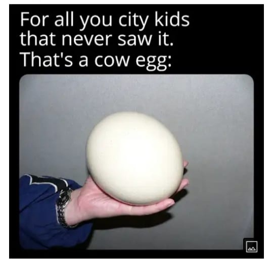 29 Egg Memes That Will Crack You Up! 25 Cow egg - egg memes