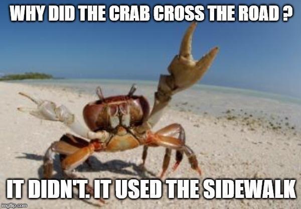 Collection of 10 Feel-Good Internet Memes 2 Crab cross the road