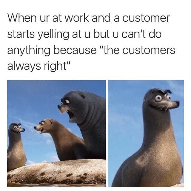 25 Funny Customer Service Memes That Turn Frowns Upside Down 24 Customers always right