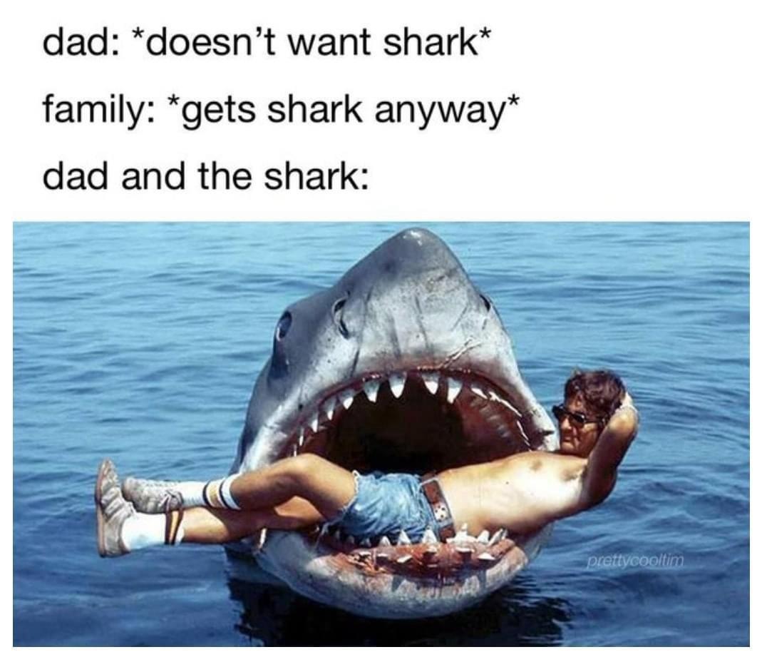 20 Funny Animal Memes That Are More Entertaining Than a Night at the Zoo 5 Doesnt want shark - Funny Animal Memes
