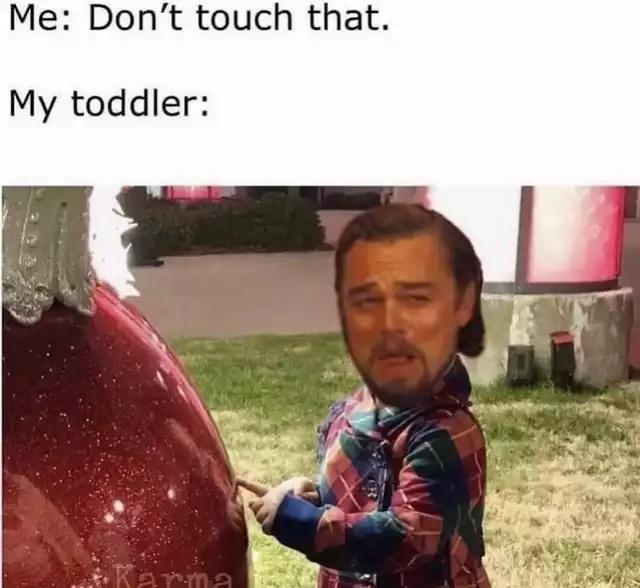 15 Memes Tailored for Your Quality Entertainment 3 Dont touch that