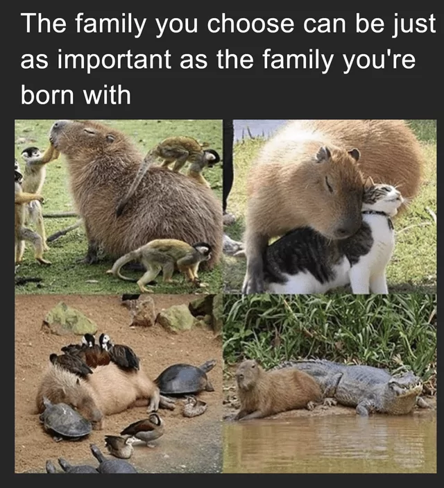 Family youre born with.png
