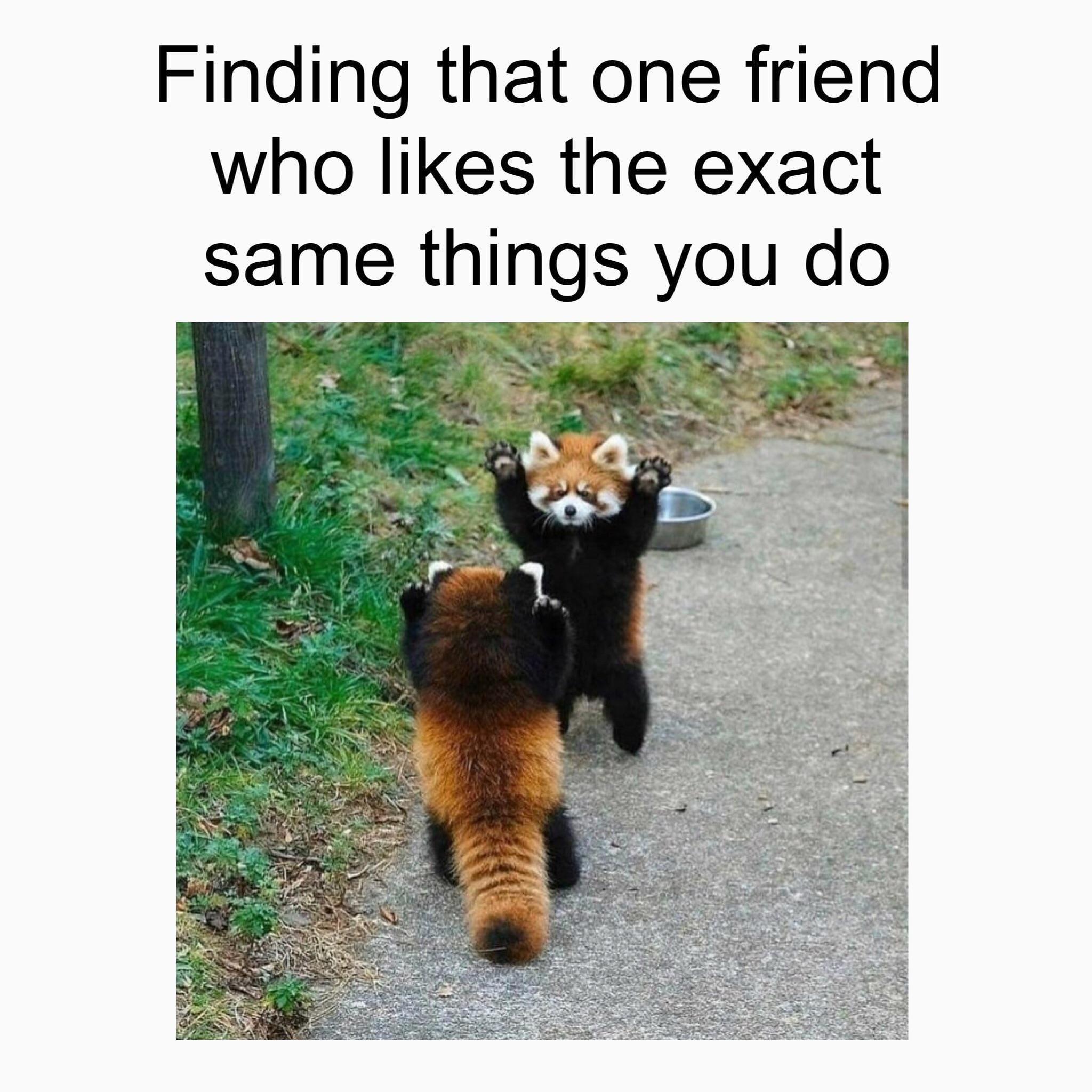 20 Wholesome Friendship Memes to Share with Your Partner in Crime - Funny