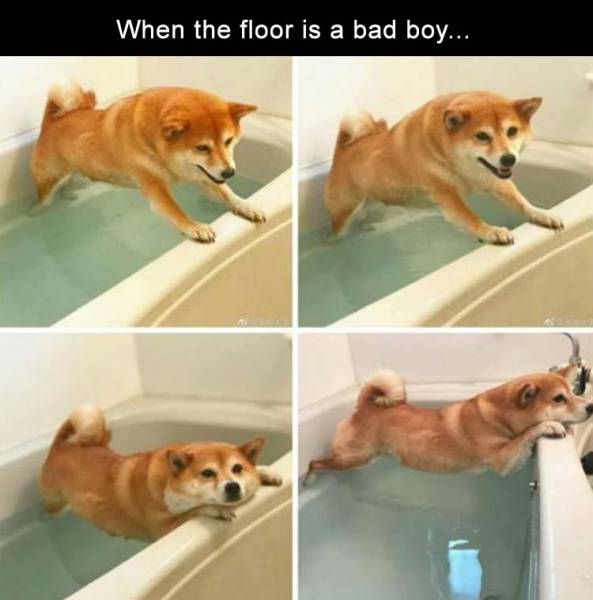 25 Amusing Memes to Crown Your Day with Laughter 5 Floor is bad boy - amusing memes