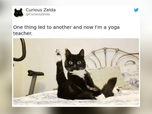 Funny Cat Poems - FG.png