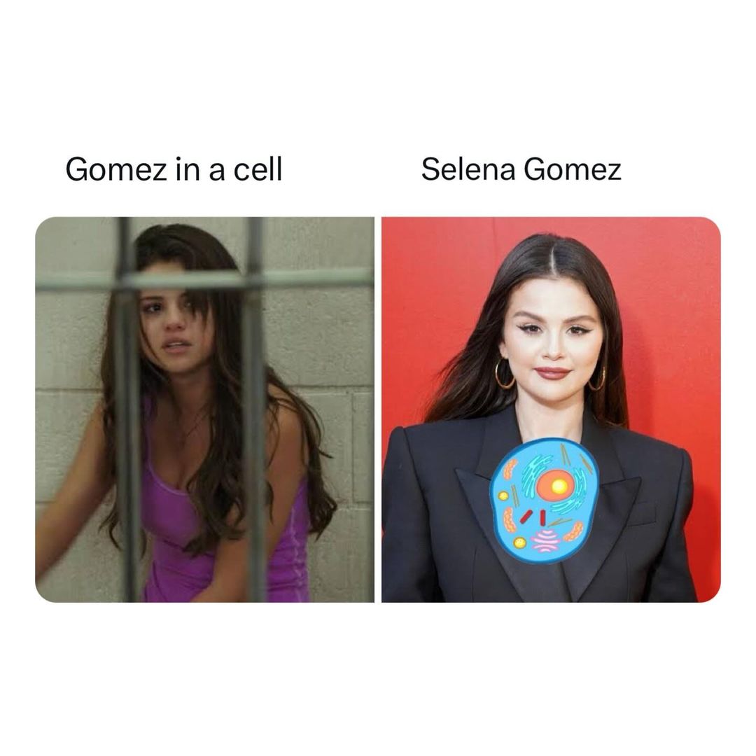 35 Punniest Memes: Your Daily Dose of Vitamin C (Comedy) 9 Gomez in a cell - punniest memes