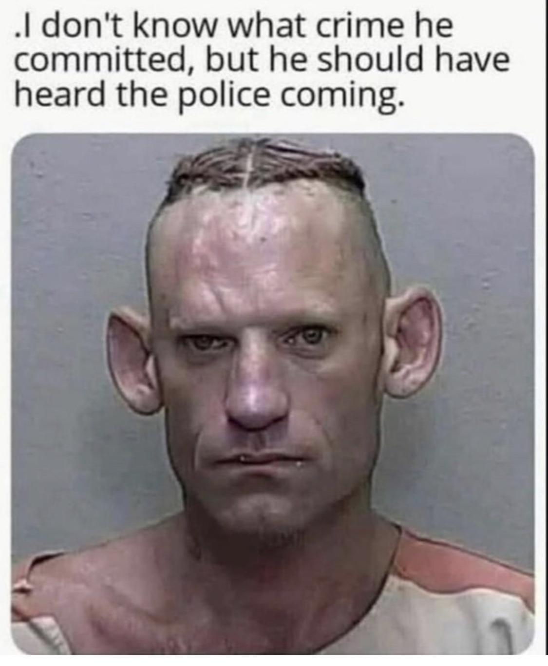 Herd the police coming