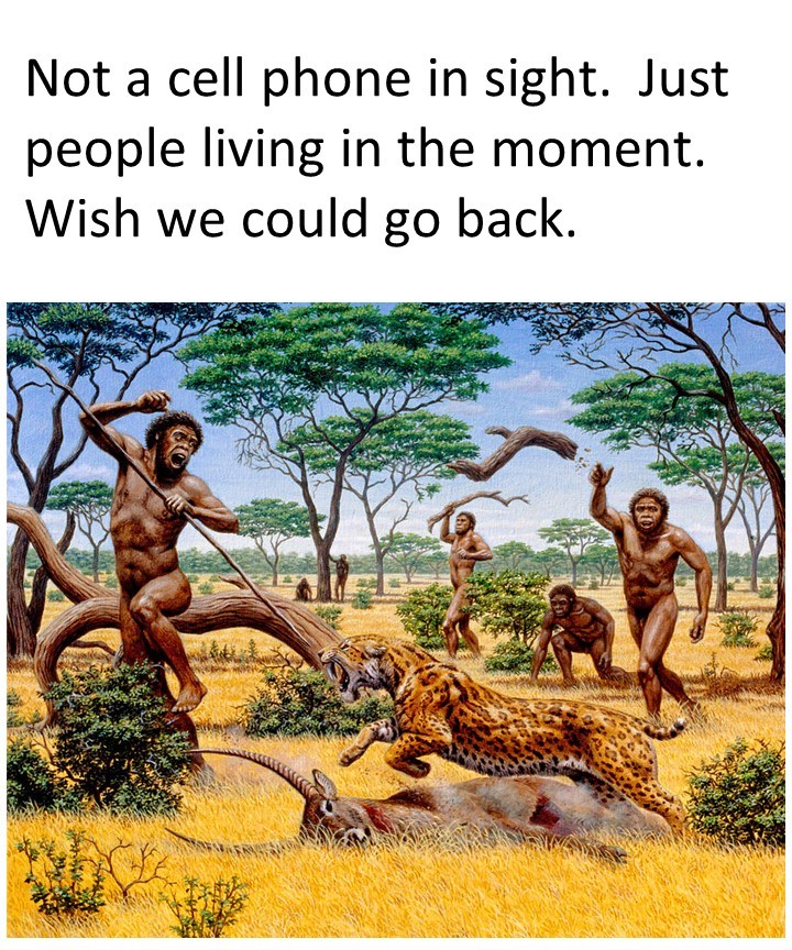 22 'Not A Cell Phone In Sight' Memes: A Comic Tribute to a Time Before Smartphones 22 Hunting cheetah