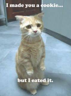 15 Memes That Will Instantly Lift Your Spirits 5 I made you a cookie