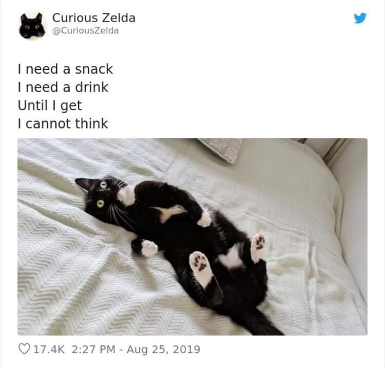 20 Funny Cat Poems from the Curious Zelda Collection 11 I need a snack - funny cat poems