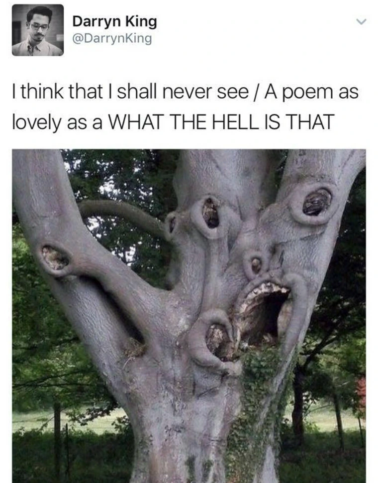 I think I shall never see - Poetry Memes
