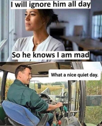 15 Memes That Will Instantly Lift Your Spirits 6 I will ignore hime