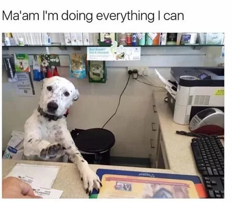 30 Funny Customer Service Memes That Turn Frowns Upside Down 30 Im doing evrything