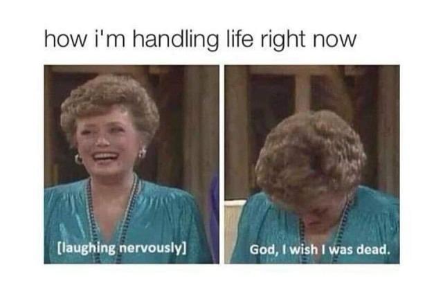 25 Laughable Memes That Will Make Your Stomach Hurt from Laughter 9 Im handling life - Laughable Memes