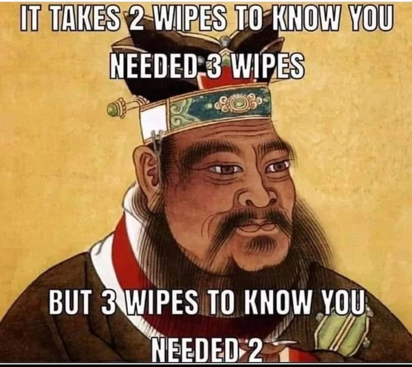21 Wise Man Memes That Prove Wisdom Comes with a Side of Humor 10 It takes 2 wipes to know - Wise Man Memes