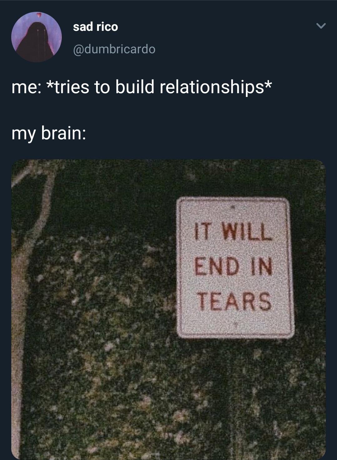 A Haphazard Assortment Of Memes To Make You Feel Relevant 23 It will end in tears