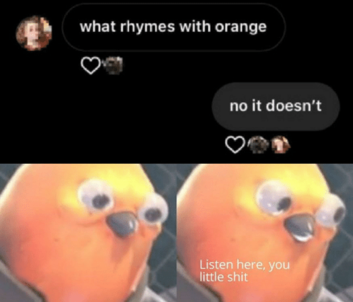 A Mountain Of Random Memes For Bored Brains 20 angry parrot - random memes