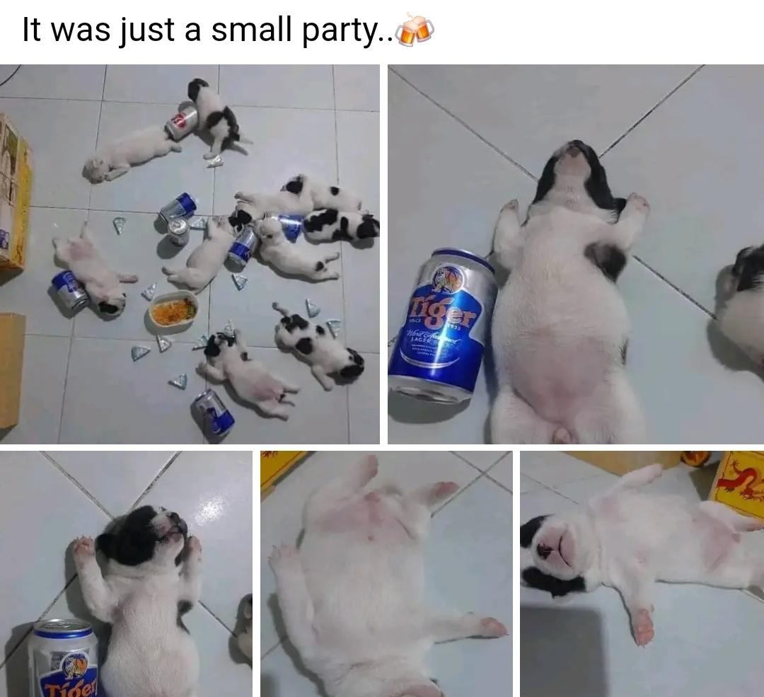 Rapid-Fire Humor: 15 Memes That Deliver Instant Comedy 7 Just a small party