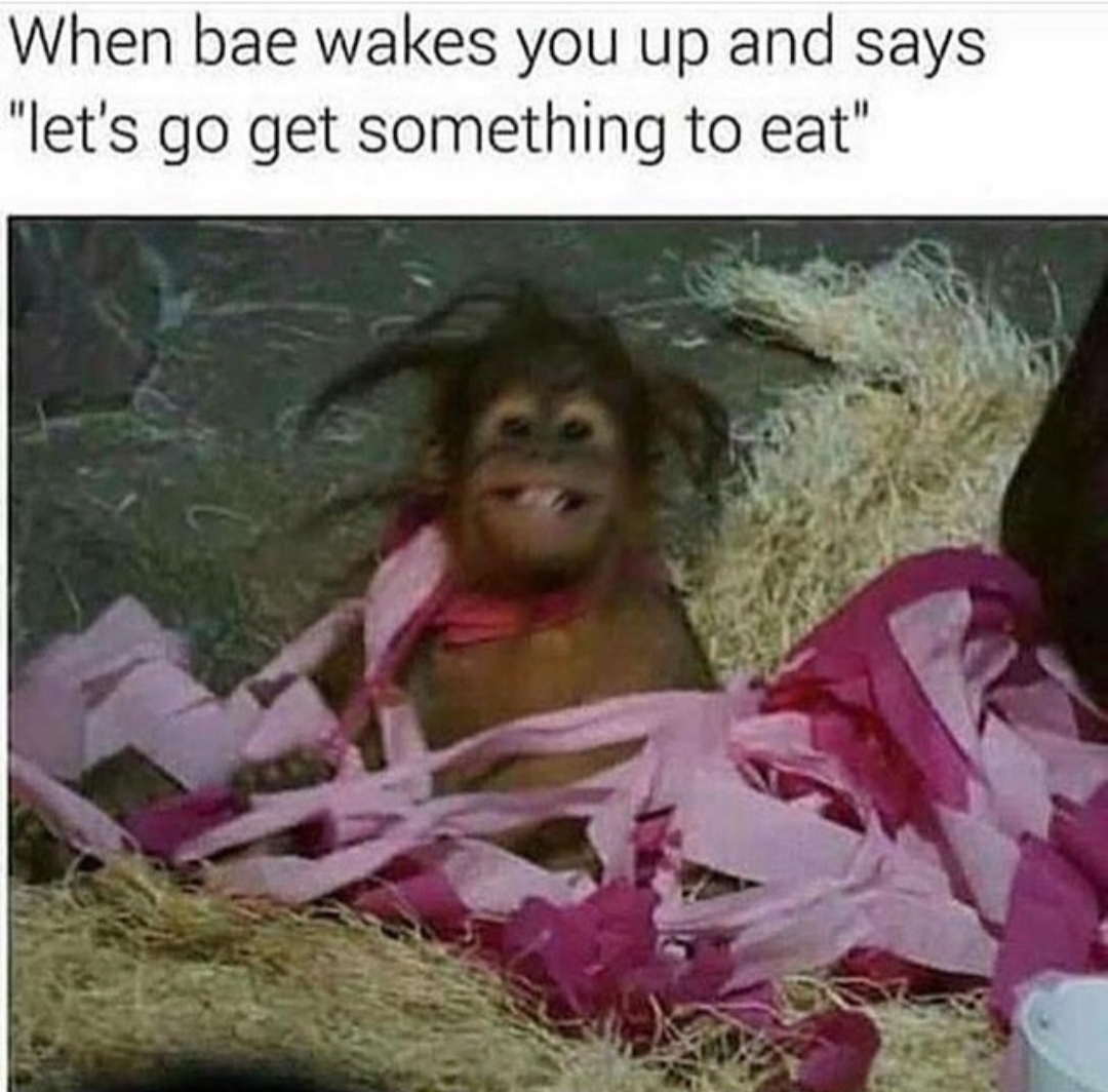 40 Married Memes That Unveils The Secrets Of Married Life 27 Lets get something to eat