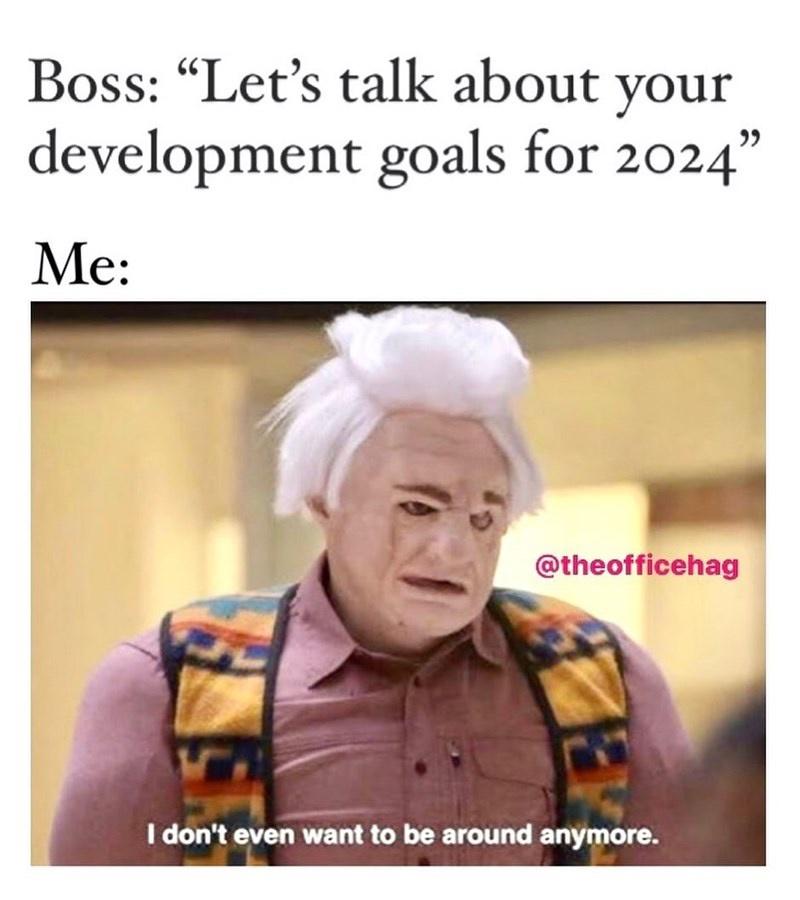 25 Relatable Work Memes That Capture the Essence of Office Banter 6 Lets talk about your developmental goals - Relatable Work Memes