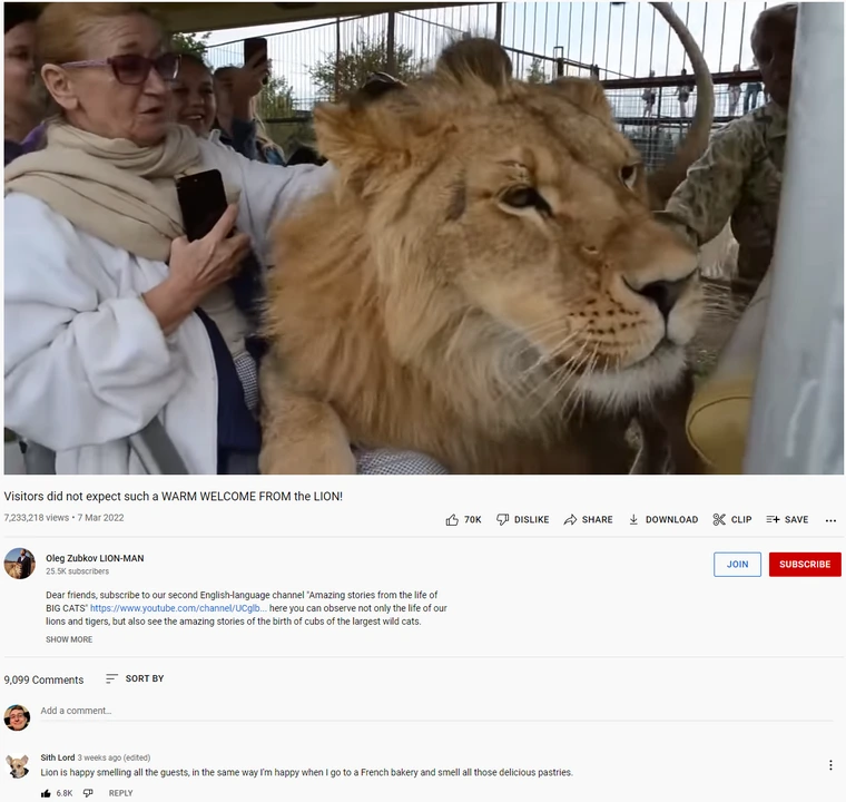 23 Funny YouTube Comments That Made Us Spit Out Our Coffee 22 Lion is happy