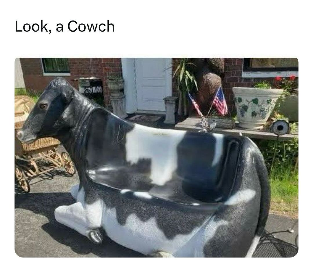35 Punniest Memes: Your Daily Dose of Vitamin C (Comedy) 14 Look a cowch - punniest memes