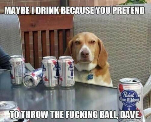 15 Memes That Will Instantly Lift Your Spirits 7 Maybe I drink