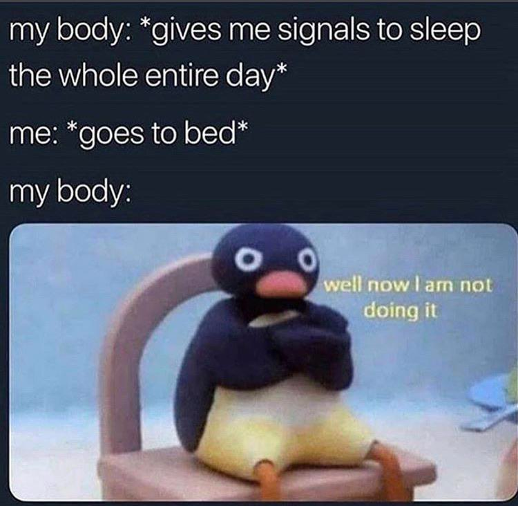 20 Funny Sleep Memes Every Night Owl Can Relate To 6 My body gives me signals
