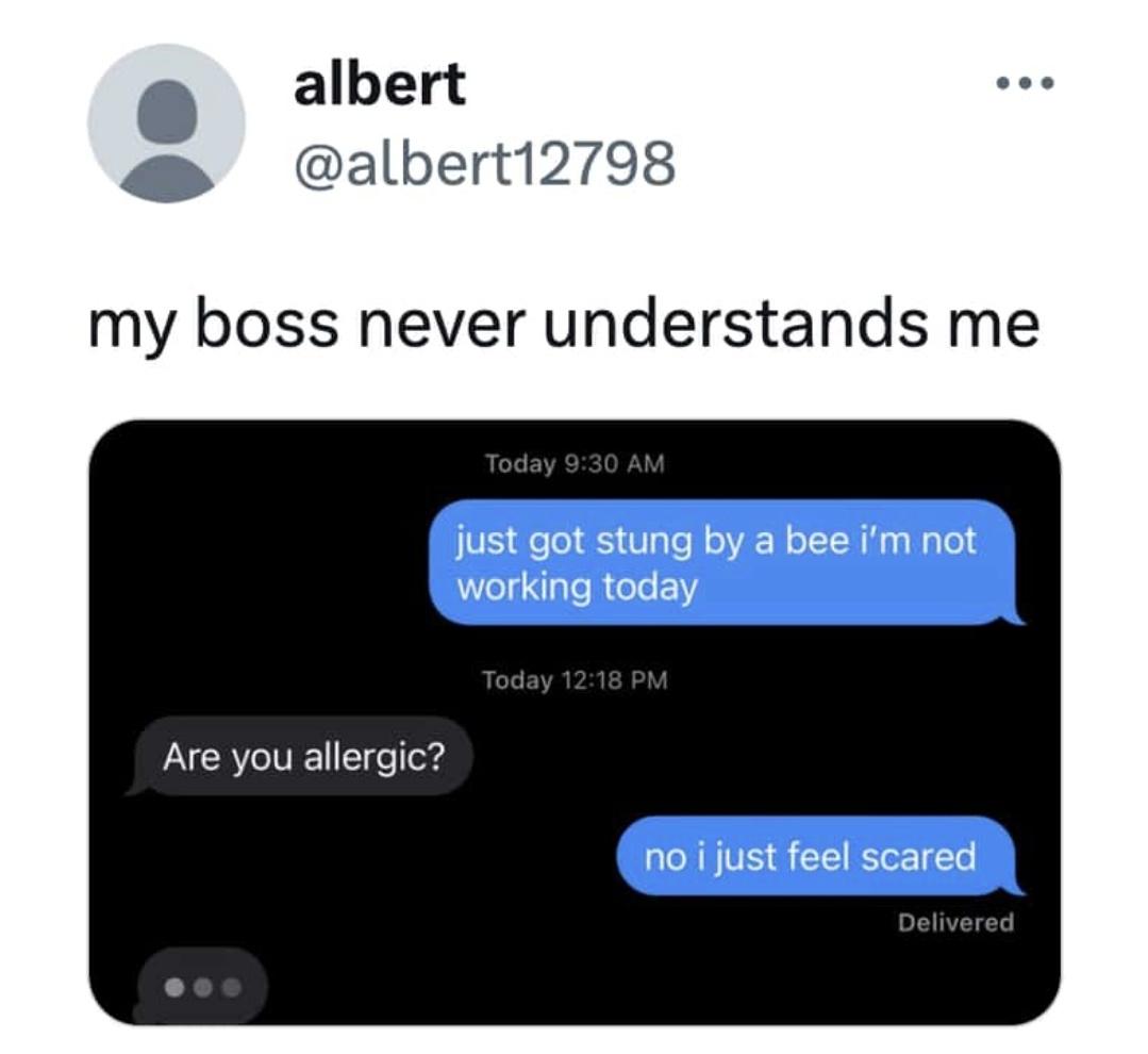 25 Relatable Work Memes That Capture the Essence of Office Banter 14 My boss never understands me - Relatable Work Memes