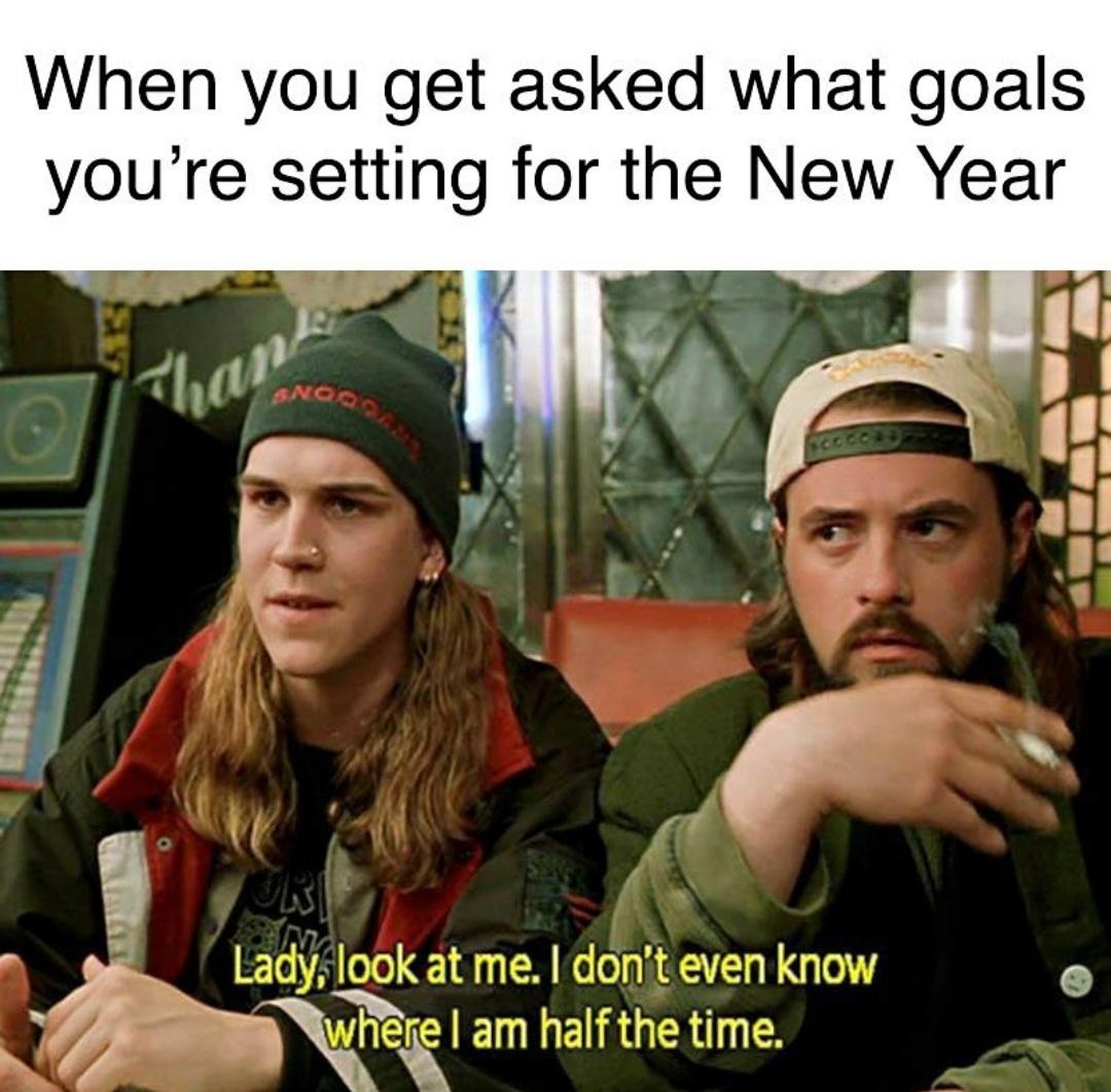 15 Riotous Memes Destined to Make Your Day a Laughter Riot 9 New year goals - Riotous Memes