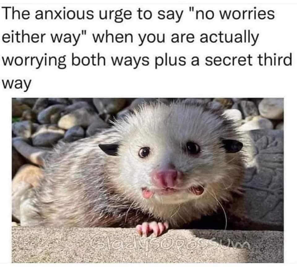 20 Funny Animal Memes That Are More Entertaining Than a Night at the Zoo 12 No worries - Funny Animal Memes