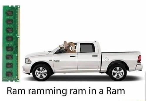 20 Memes That Will Make You Smile If You're Having A Bad Day 13 Ram ramming