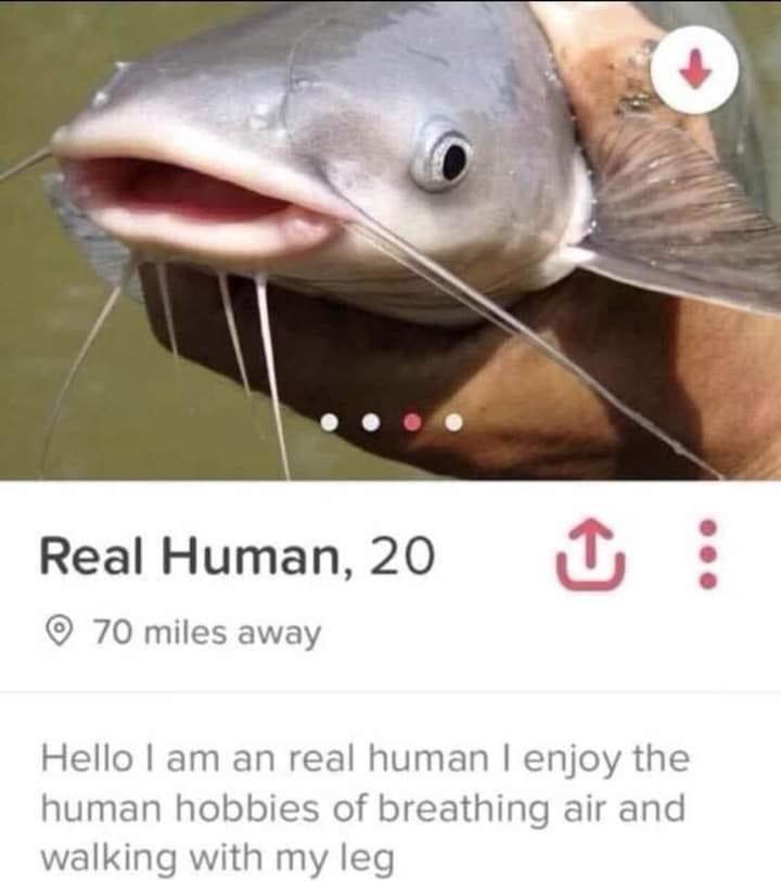 20 Funny Animal Memes That Are More Entertaining Than a Night at the Zoo 14 Real human - Funny Animal Memes