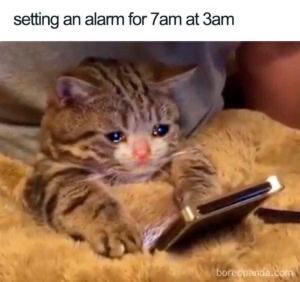 20 Funny Sleep Memes Every Night Owl Can Relate To 10 Setting an alarm