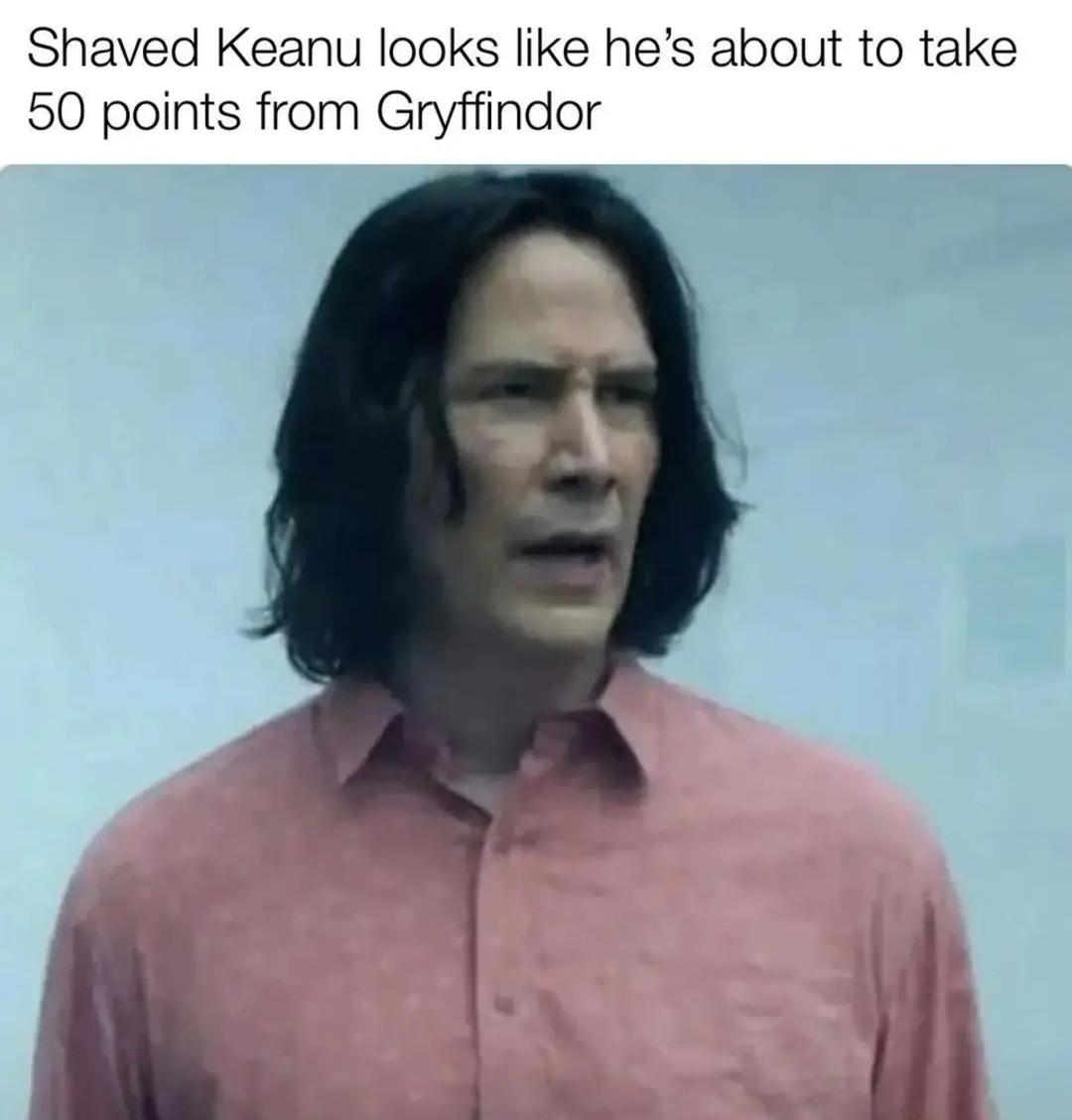 30 Bottom Shelf Memes For Your Top Shelf Occasions 22 Shaved keanu reeves - bottom shelf memes