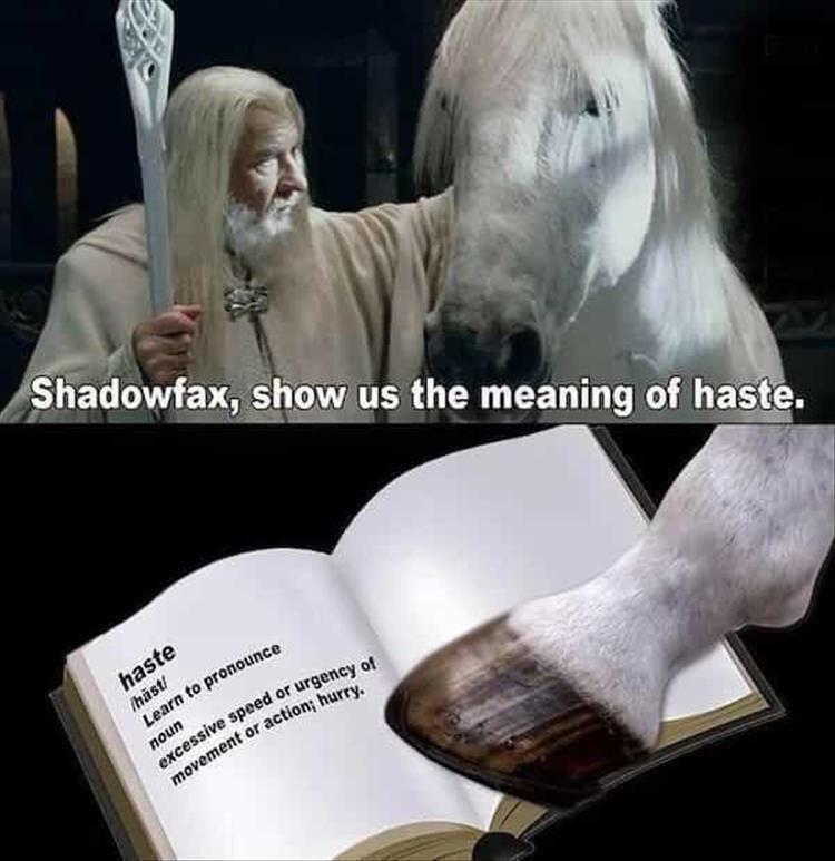 Collection of 10 Feel-Good Internet Memes 7 Show us the meaning