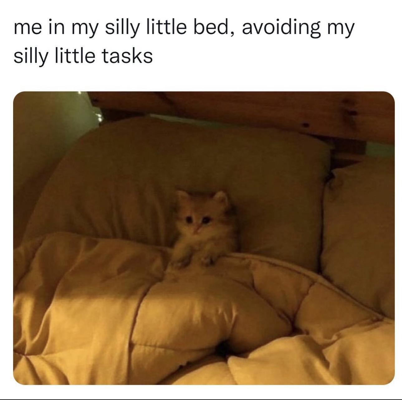 15 Riotous Memes Destined to Make Your Day a Laughter Riot 12 Silly little bed - Riotous Memes