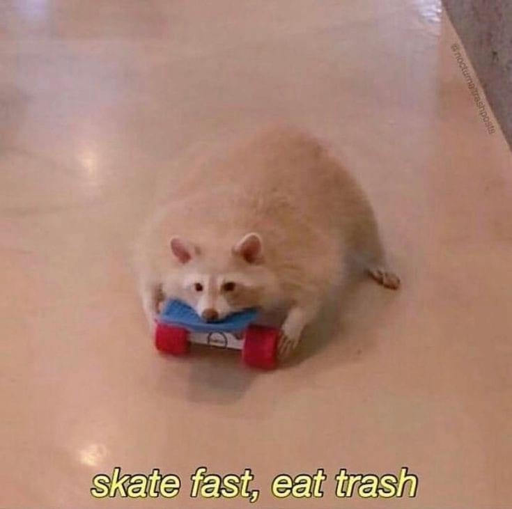 20 Funny Animal Memes That Are More Entertaining Than a Night at the Zoo 16 Skate fast - Funny Animal Memes