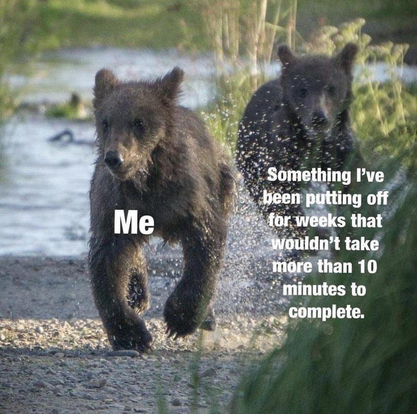30 Bottom Shelf Memes For Your Top Shelf Occasions 24 Soemthing ive been putting of - bottom shelf memes