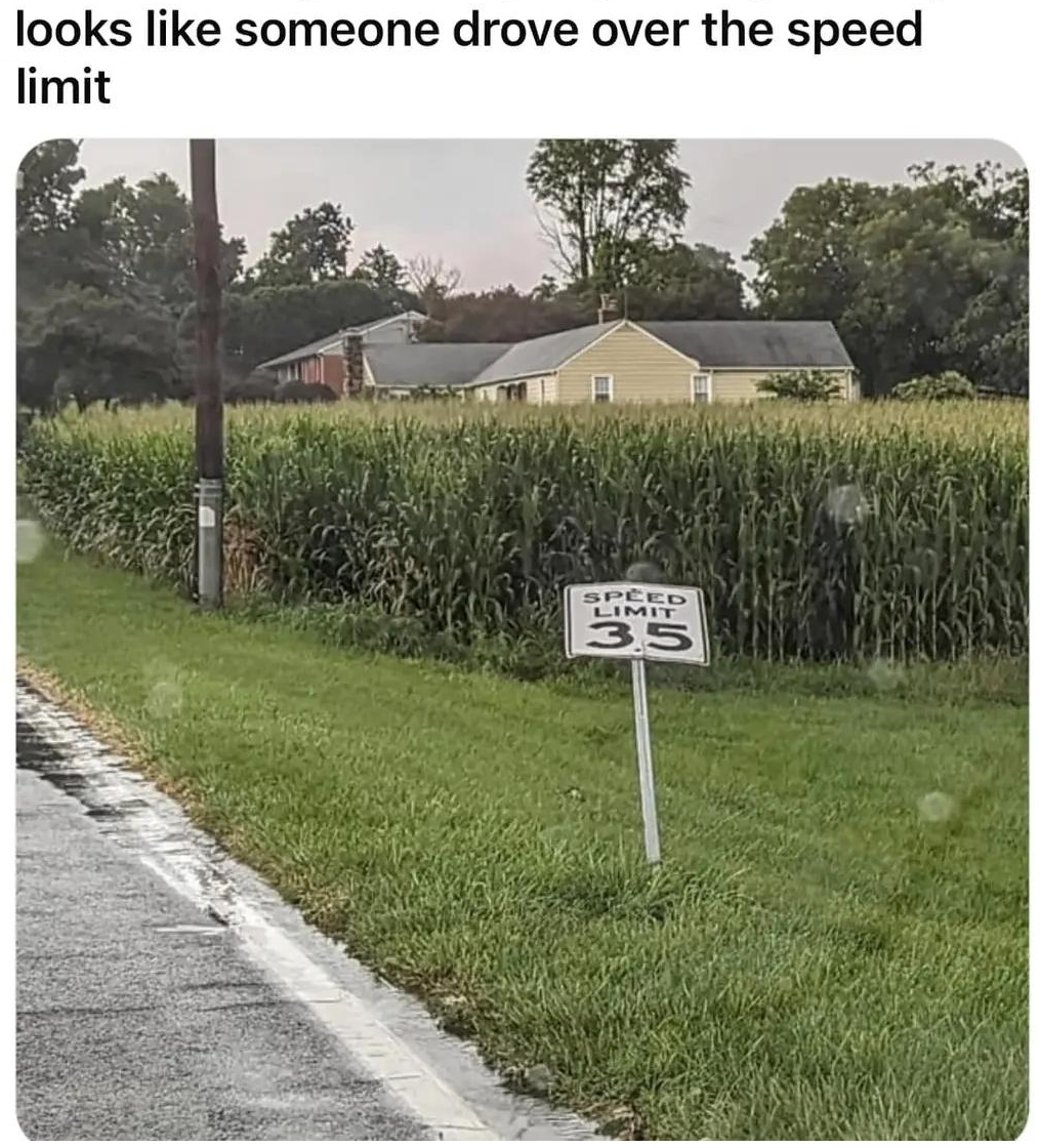 A Haphazard Assortment Of Memes To Make You Feel Relevant 28 Someone drove over