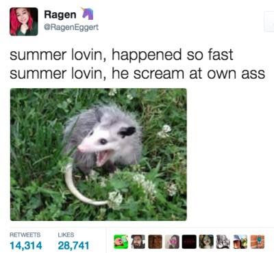 30 Music Memes That'll Replay in Your Mind On Repeat 21 Summer lovin