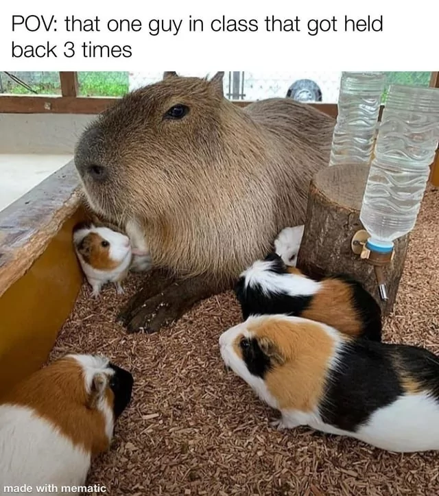 That one guy in class